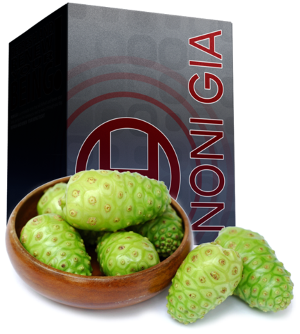 BHIP NONI GIA